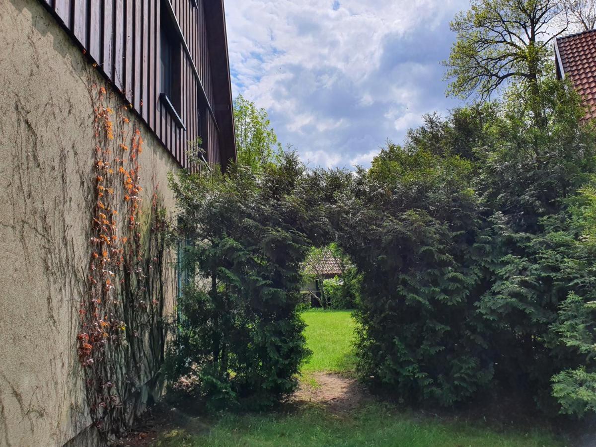 Ferienhaus Hase Villa Burg  Exterior photo